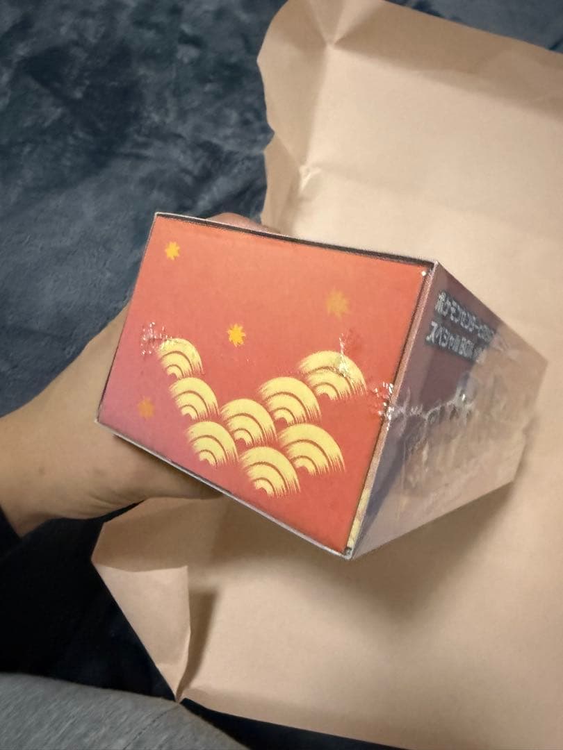 ポケモンカード スペシャルBOX ポケモンセンター ヒロシマ