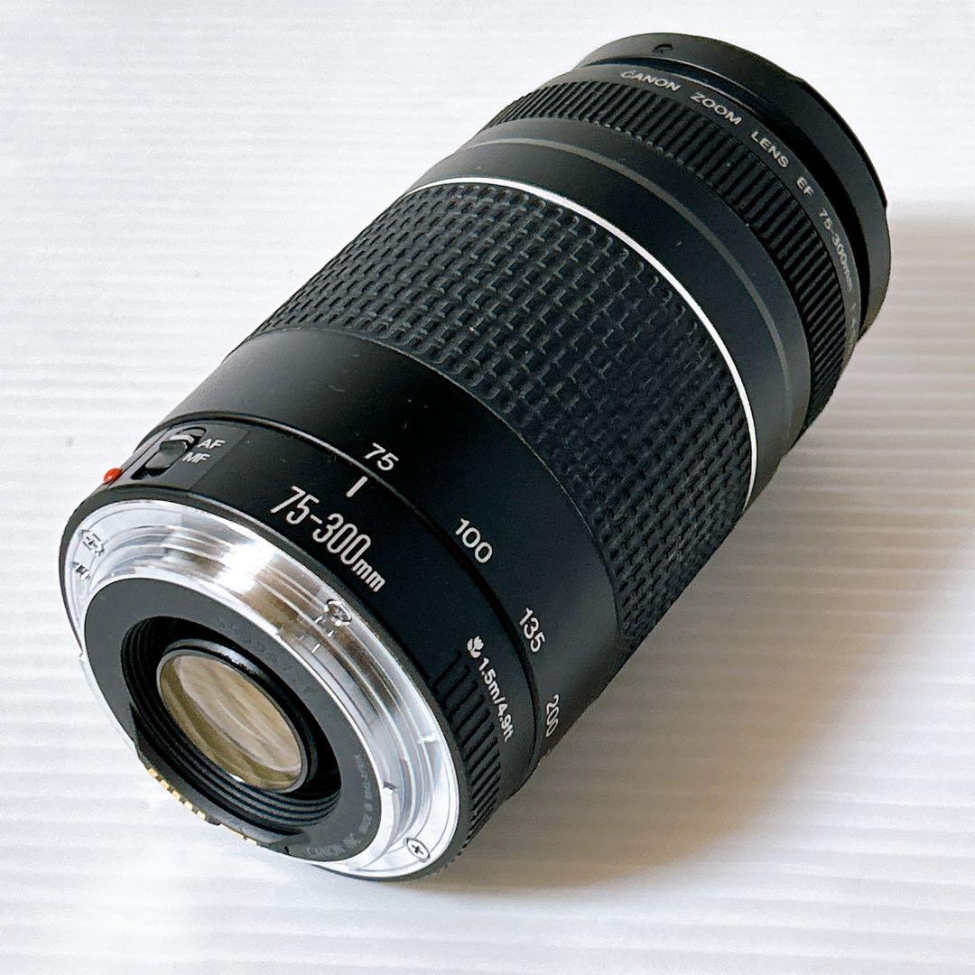 Canon EF 75-300㎜ 1:4-5.6Ⅲズームレンズ