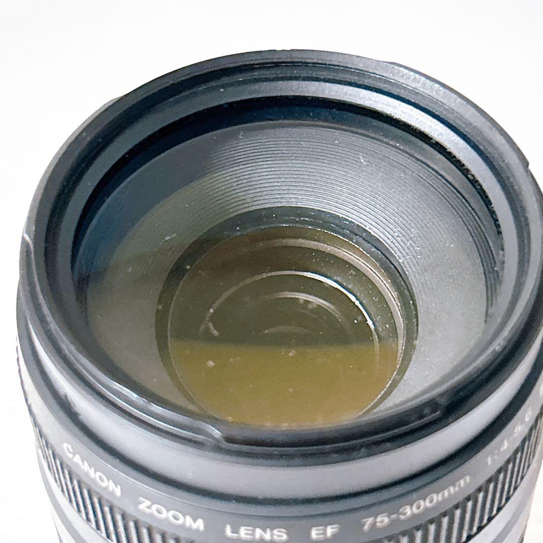 Canon EF 75-300㎜ 1:4-5.6Ⅲズームレンズ