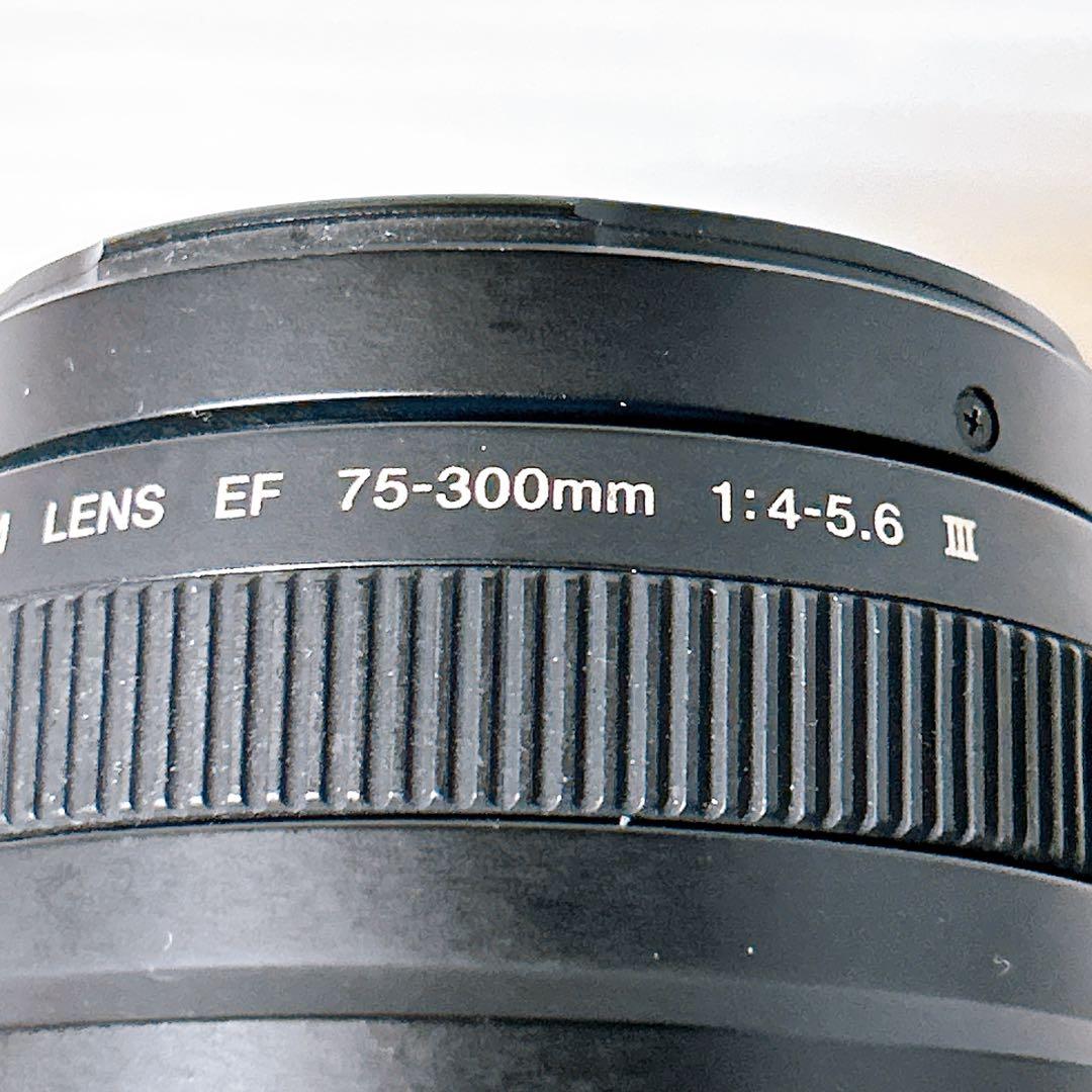 Canon EF 75-300㎜ 1:4-5.6Ⅲズームレンズ