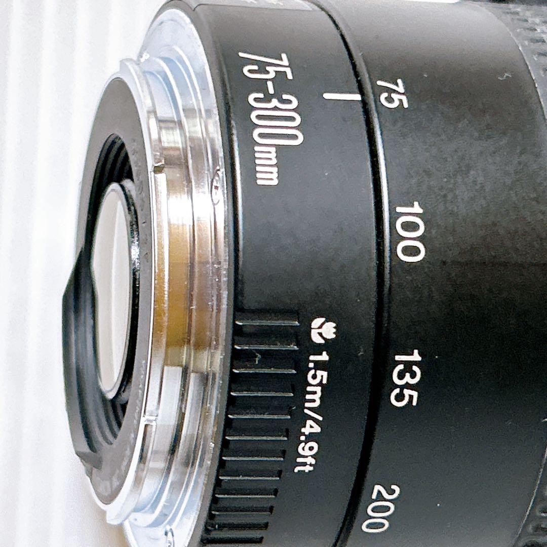 Canon EF 75-300㎜ 1:4-5.6Ⅲズームレンズ