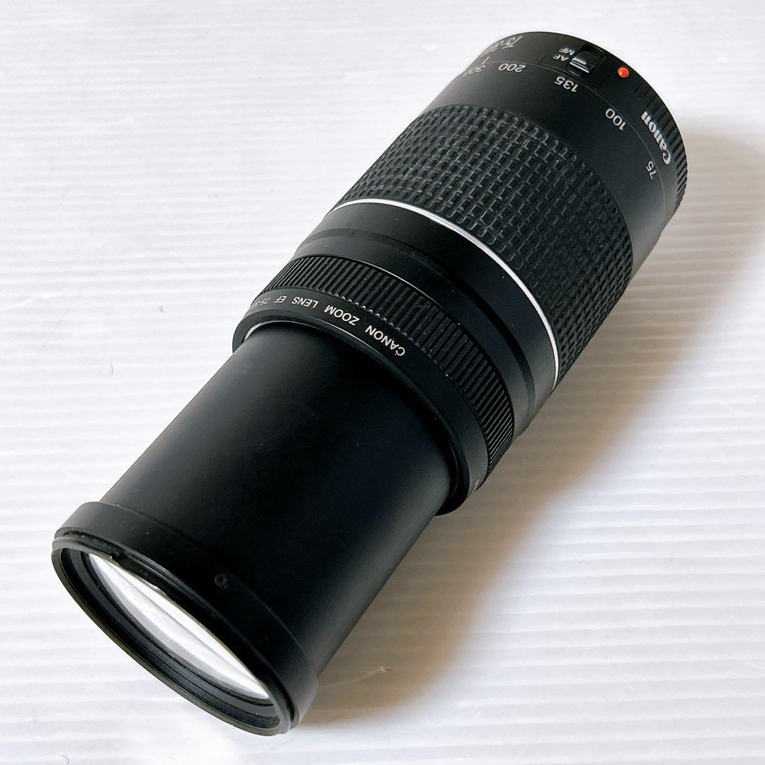 Canon EF 75-300㎜ 1:4-5.6Ⅲズームレンズ