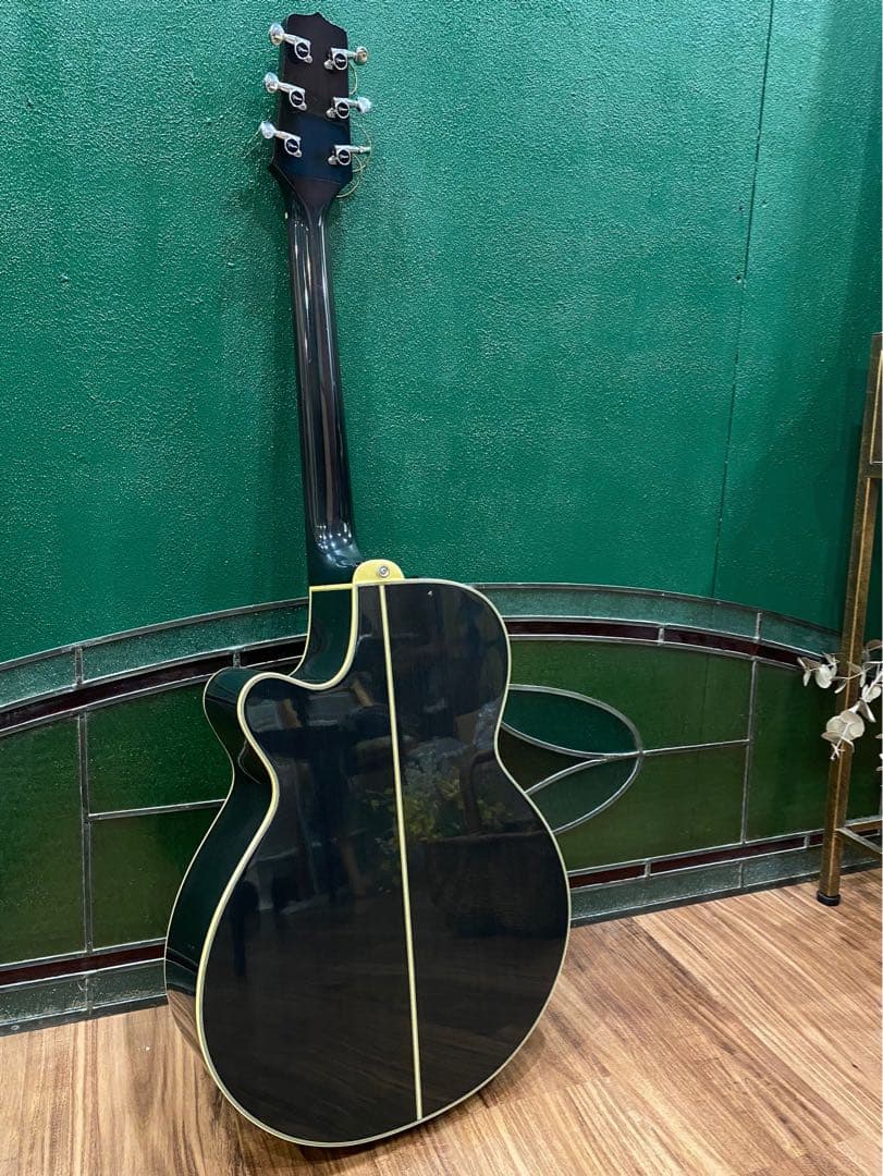 Takamine PT106 エレアコ ギター ハードケース付き