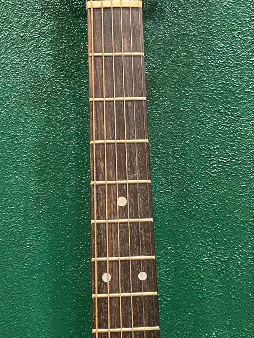 Takamine PT106 エレアコ ギター ハードケース付き