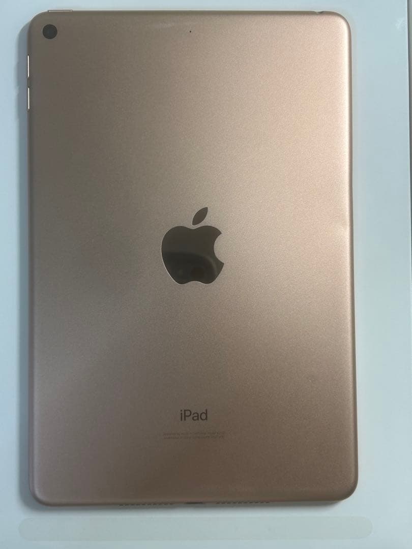 iPad本体 iPad mini5 64gb