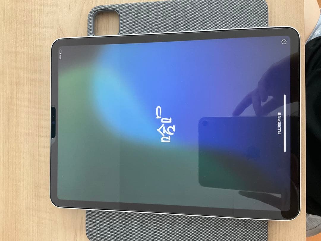 iPad Pro第3世代 (ApplePencil /ロジクールキーボード付属)