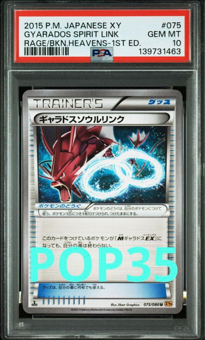 世界35枚 ギャラドス ソウルリンク 破天の怒り