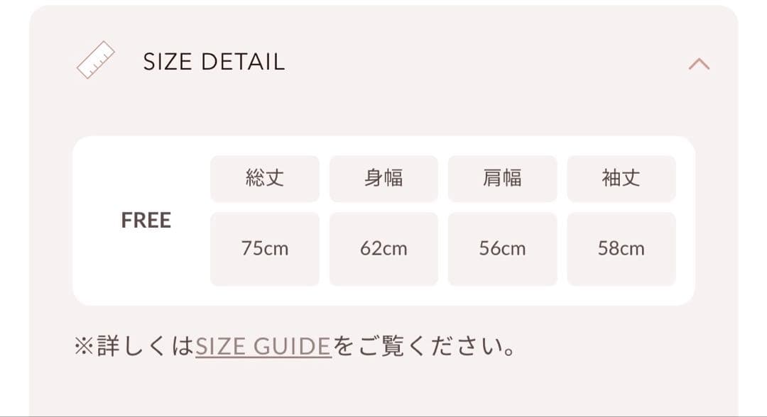 Darich DDロゴビジュージップパーカー ブラック