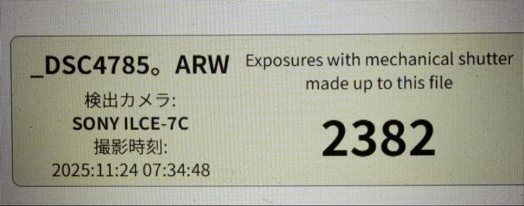 SONY α7Cミラーレス一眼 ILCE-7C シルバー ボディ