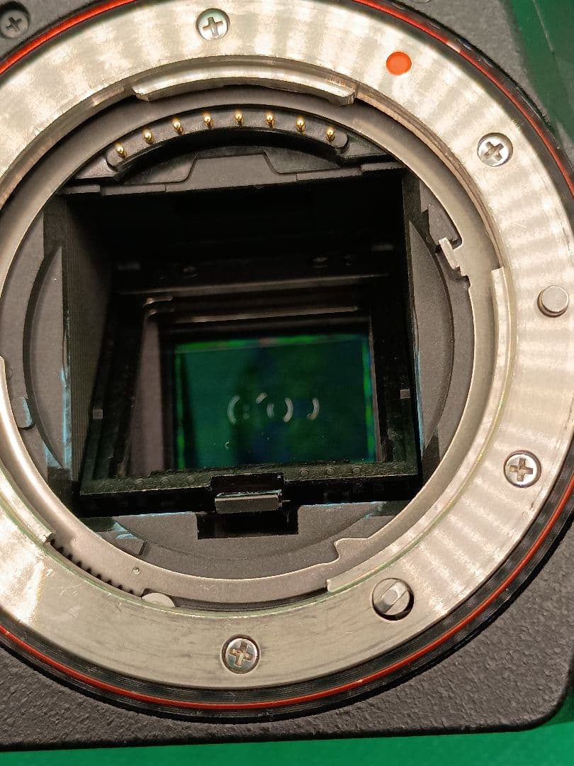 じ*ゃ様 SONY α77 SLT-A77V 高速連写ボディ バッテリー2個・充