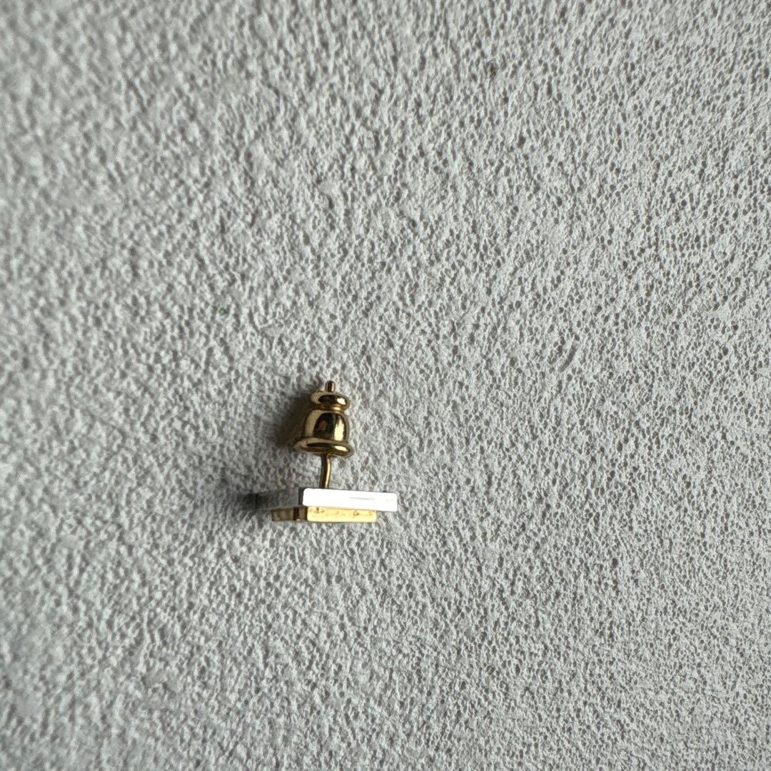 ✨FENDI earring✨フェンディピアス ズッカ 片耳 フェンディズッカ