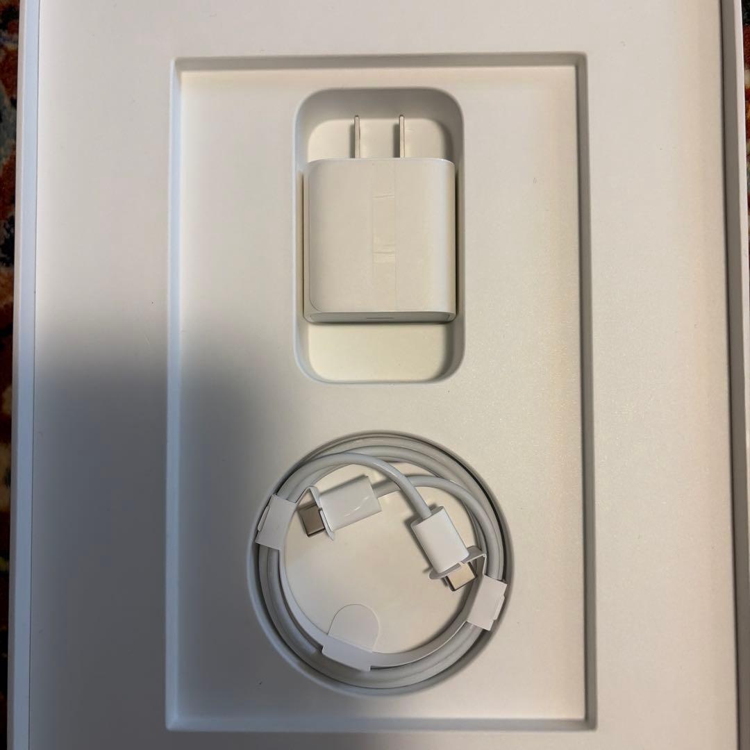 iPad Pro 11 第一世代 WiFi 256GB スペースグレイ