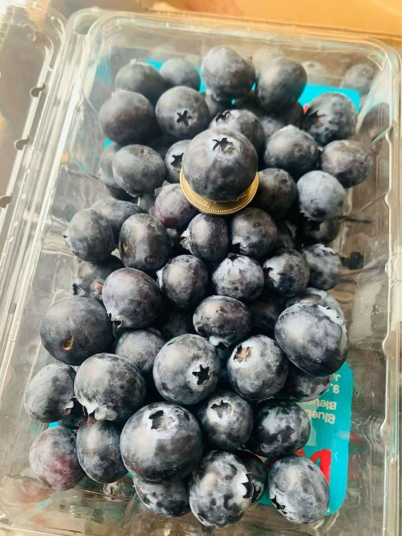 ブルベリー6パック