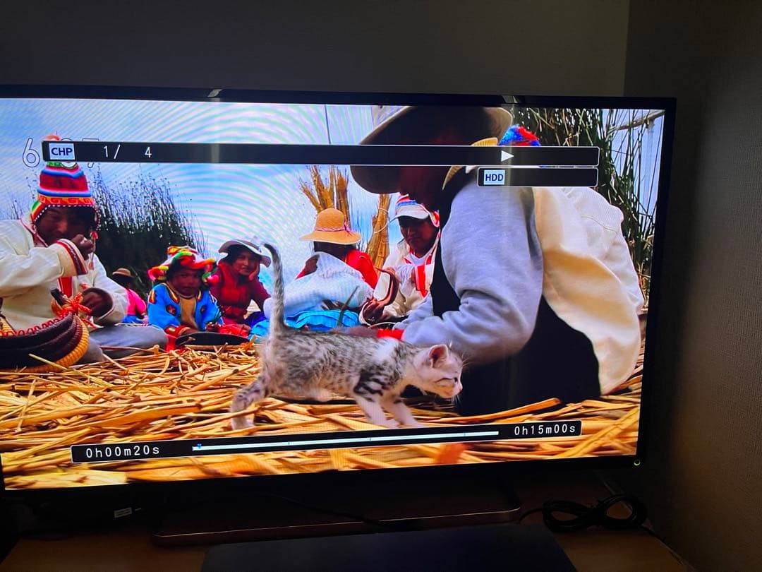 TOSHIBAブルーレイディスクレコーダー　DBR Z420 東芝