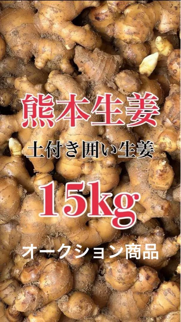 魚*様 生姜 15キロ (オークション商品)