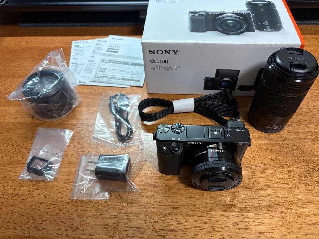 【極美品】SONY α6100 ダブルズームレンズキット【防湿庫保管・SD付】