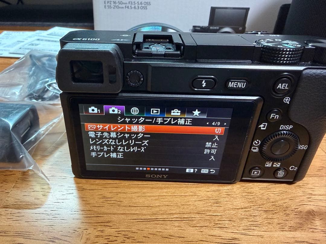 【極美品】SONY α6100 ダブルズームレンズキット【防湿庫保管・SD付】