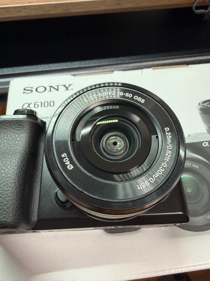 【極美品】SONY α6100 ダブルズームレンズキット【防湿庫保管・SD付】