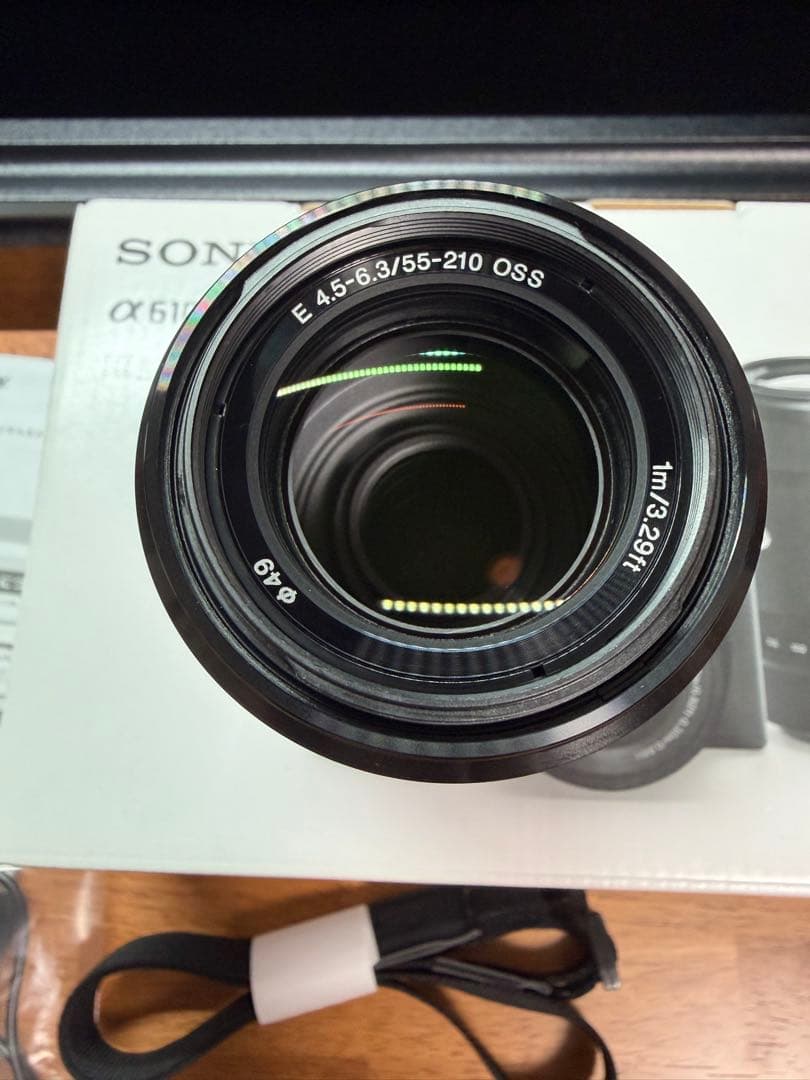 【極美品】SONY α6100 ダブルズームレンズキット【防湿庫保管・SD付】