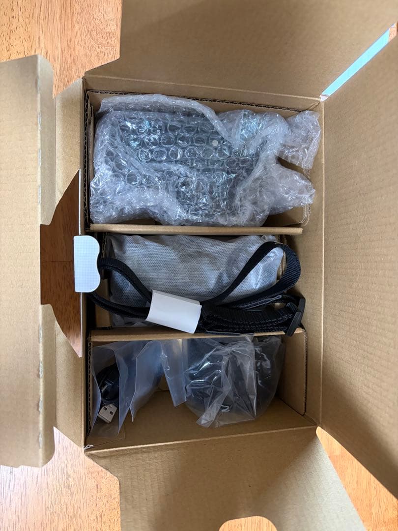 【極美品】SONY α6100 ダブルズームレンズキット【防湿庫保管・SD付】