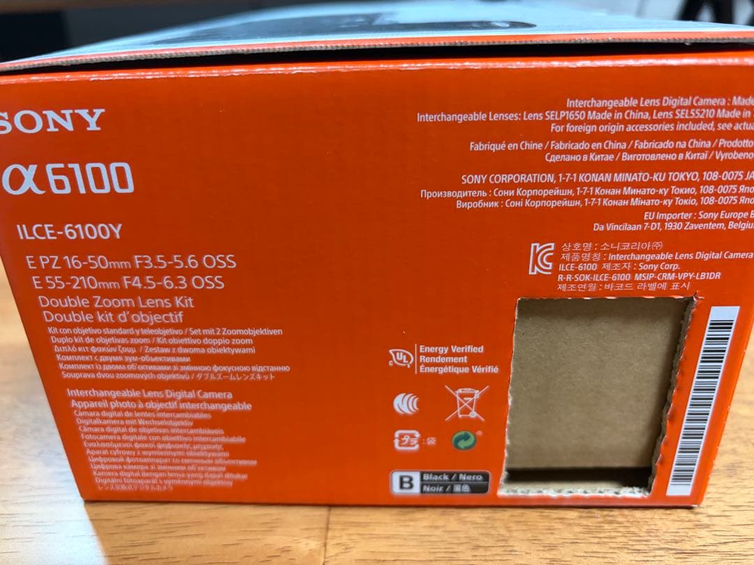 【極美品】SONY α6100 ダブルズームレンズキット【防湿庫保管・SD付】