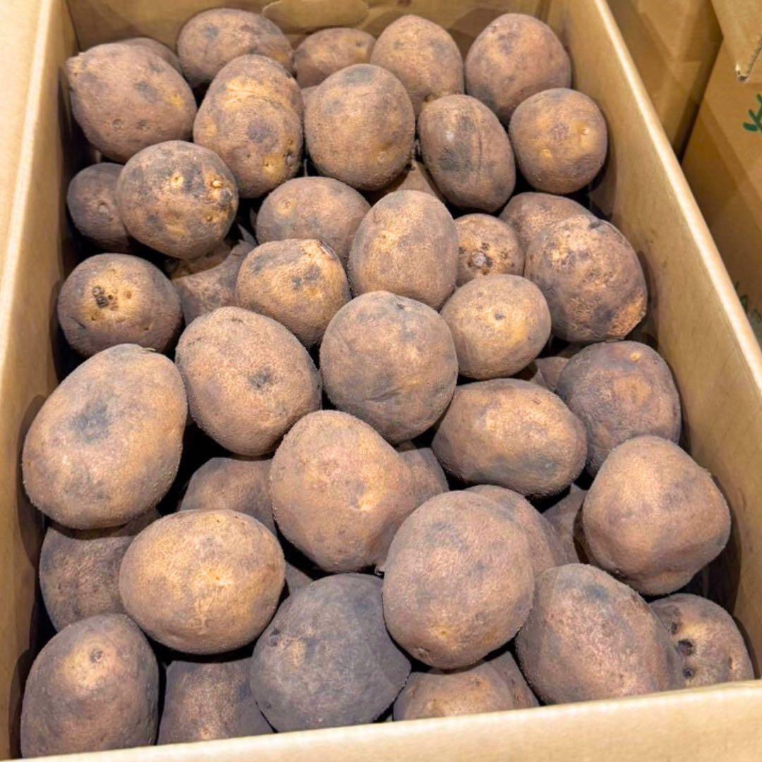 幻の　じゃがいも　ジャガイモ　07