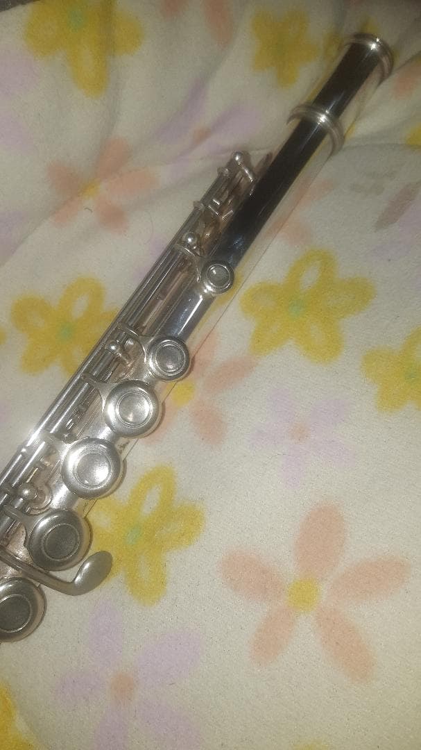 た*ち様 超レア物！！　管体銀製　ムラマツ　prima　Model　135　良音