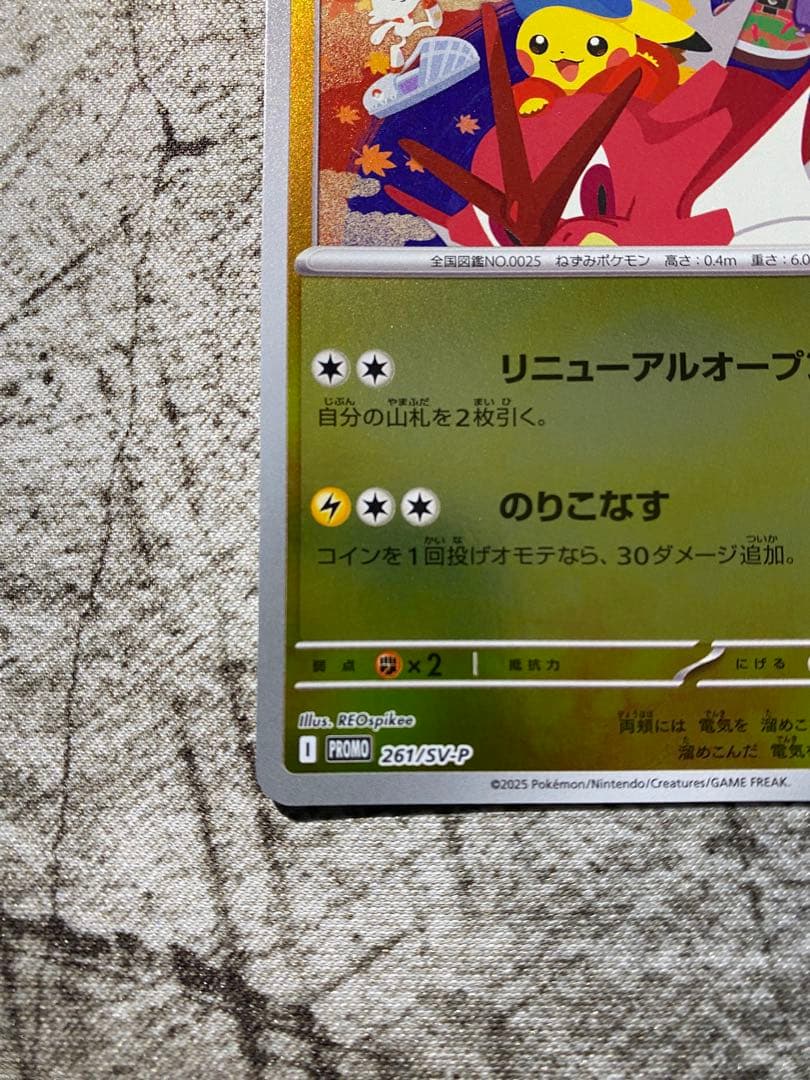 ヒロシマのピカチュウ 汎用おまけ付き