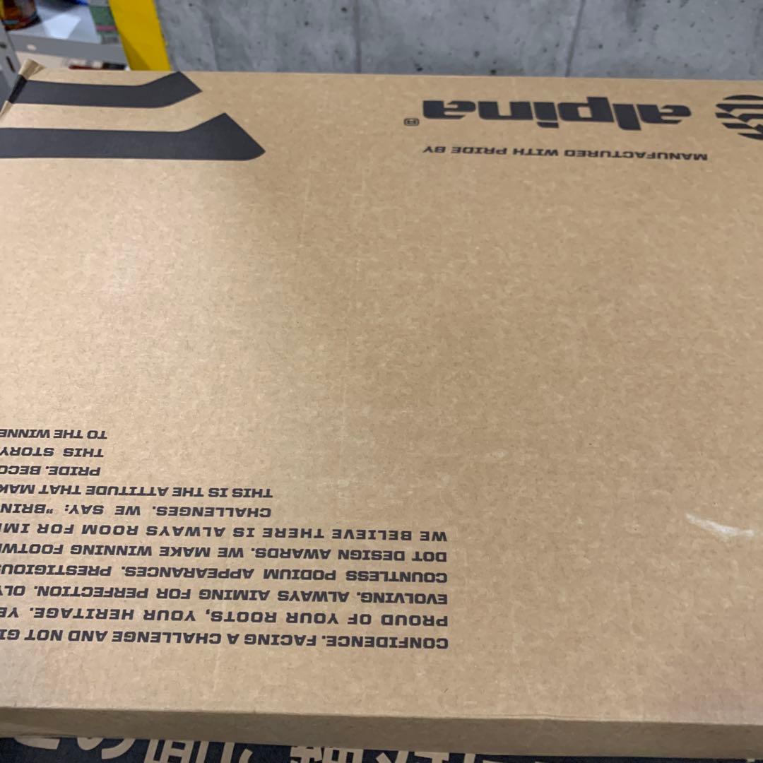 ALPINE スキーブーツ　31.5cm