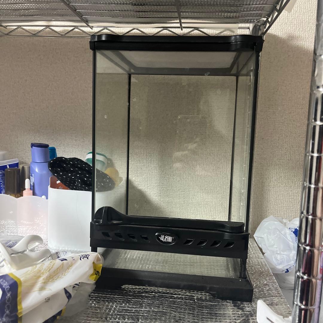 中型ガラス飼育ケージ 専用