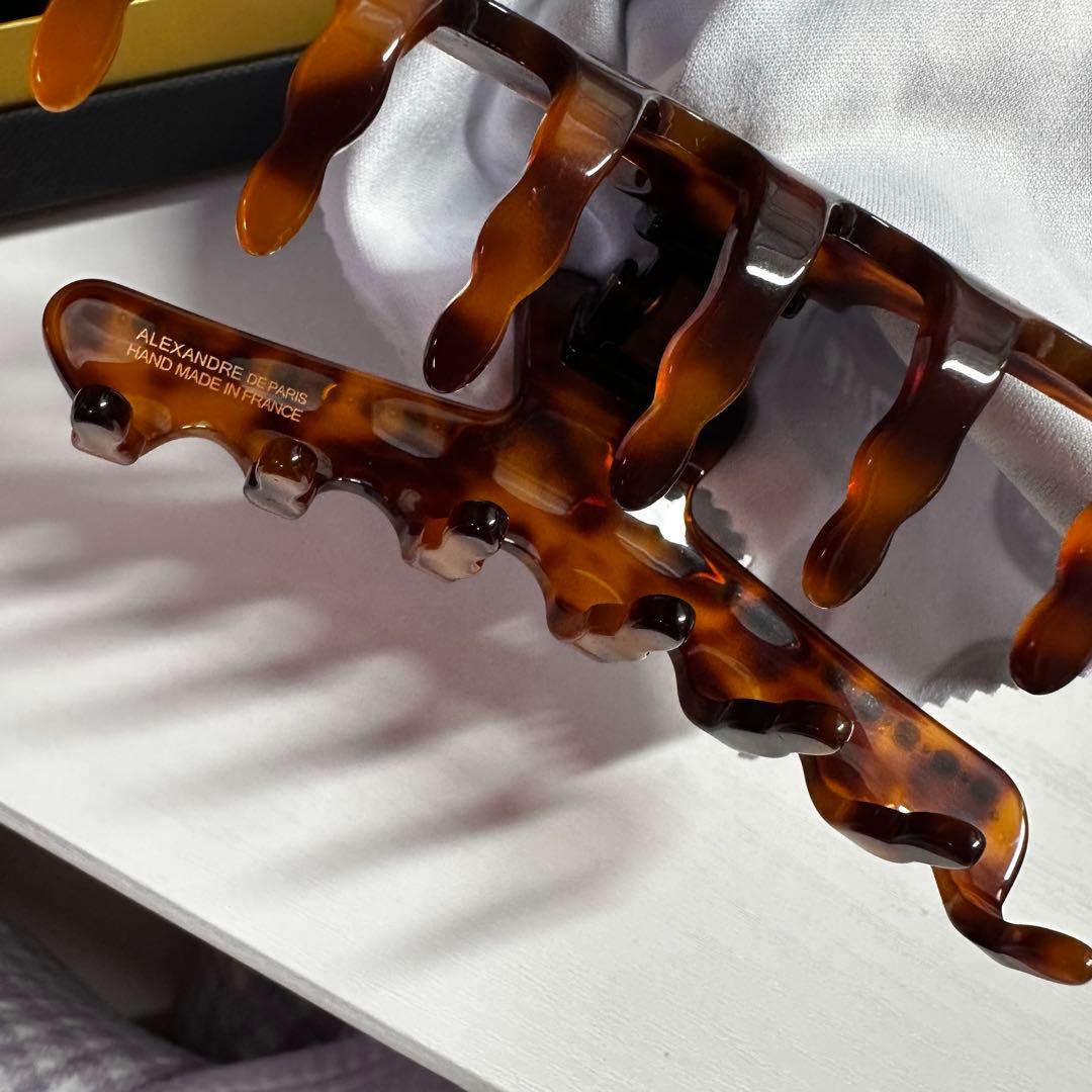 ALEXANDRE DE PARIS クリップ