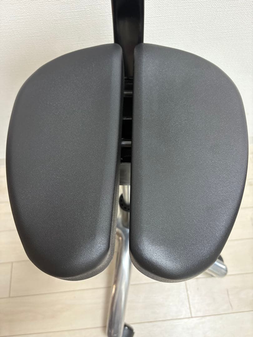 【腰痛対策・姿勢矯正】アーユルチェアー　プレミアムモデル01