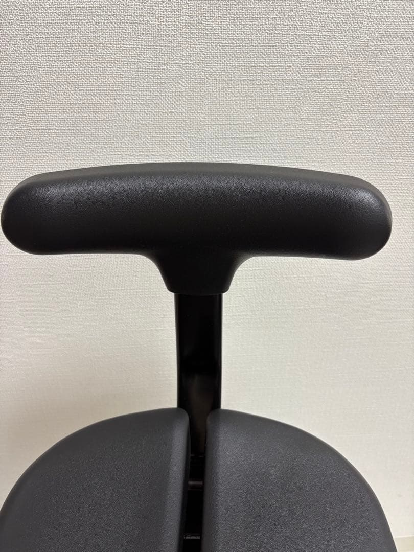 【腰痛対策・姿勢矯正】アーユルチェアー　プレミアムモデル01