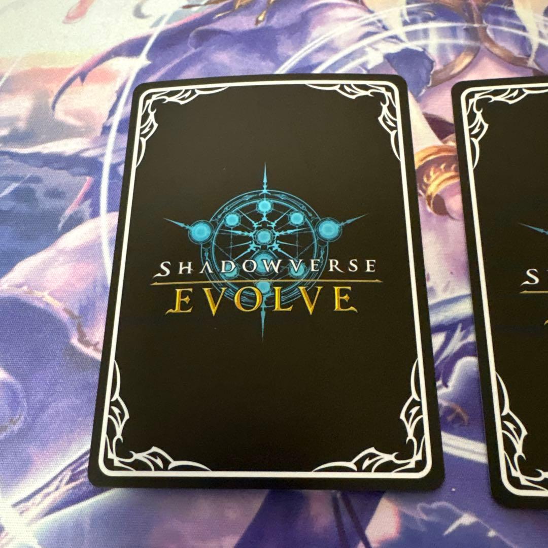 次元の超越PR SL２枚セット