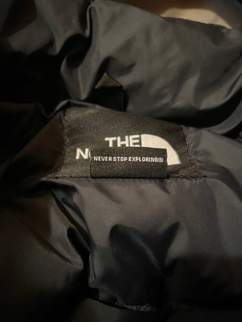 Lサイズ　THE NORTH FACE レトロ1996ヌプシダウンUS企画