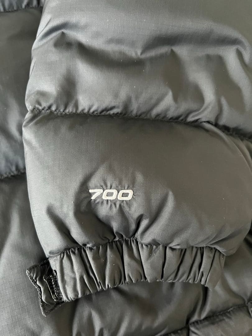 Lサイズ　THE NORTH FACE レトロ1996ヌプシダウンUS企画