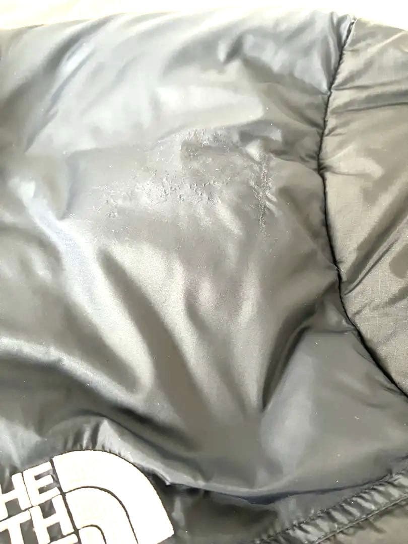 Lサイズ　THE NORTH FACE レトロ1996ヌプシダウンUS企画