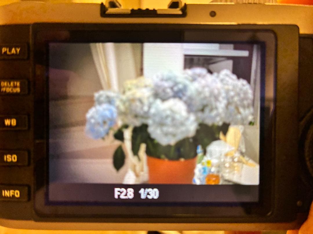 ［動作確認済］Leica ライカ X1 スチールグレー デジタルカメラ