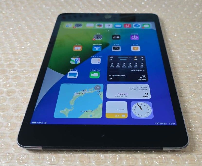 た*さ様 比較的美品◼️iPad mini 4◼️128GB◼️バッテリー極良品
