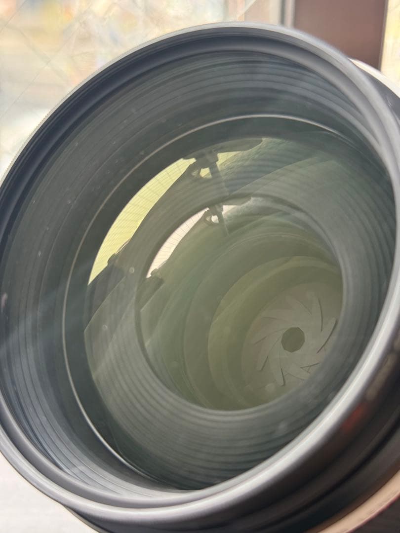 奏*様 Canon キャノン RF 70-200mm F2.8 L IS USM