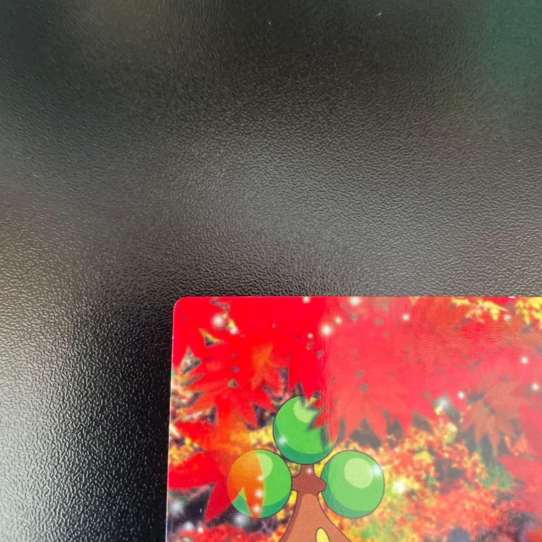 THE POKEMON WEEKLY Autumn1・2 秋　ウソハチ　ラッキー