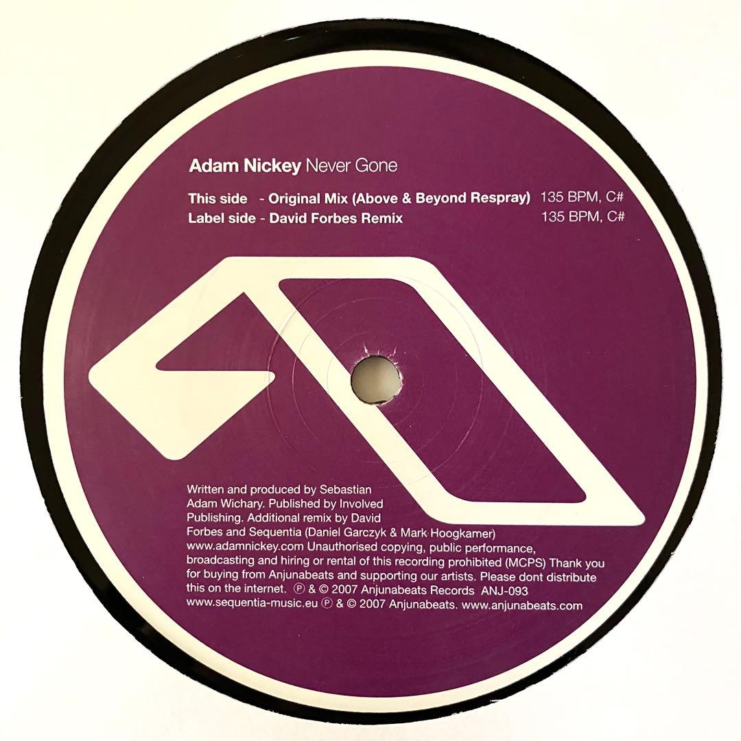 洋楽 Adam Nickey - Never Gone 12\" ANJUNABEATS