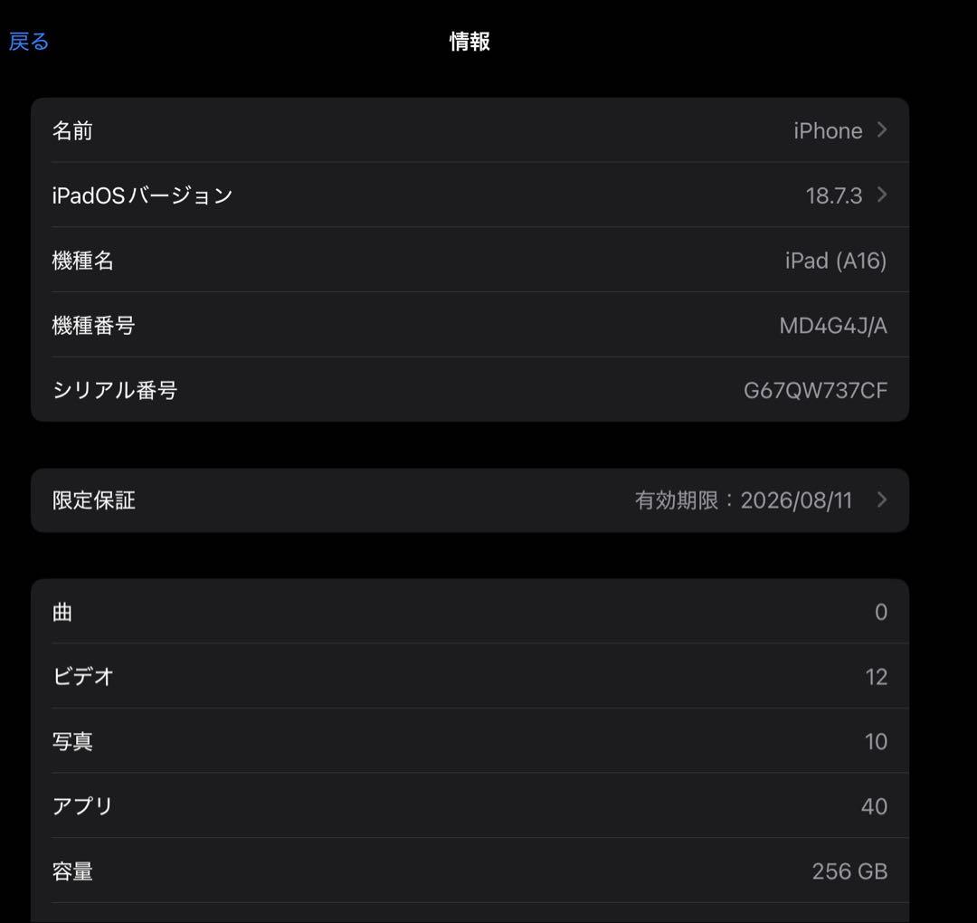 iPad A16 256GB シルバー 全面保護ケース付き