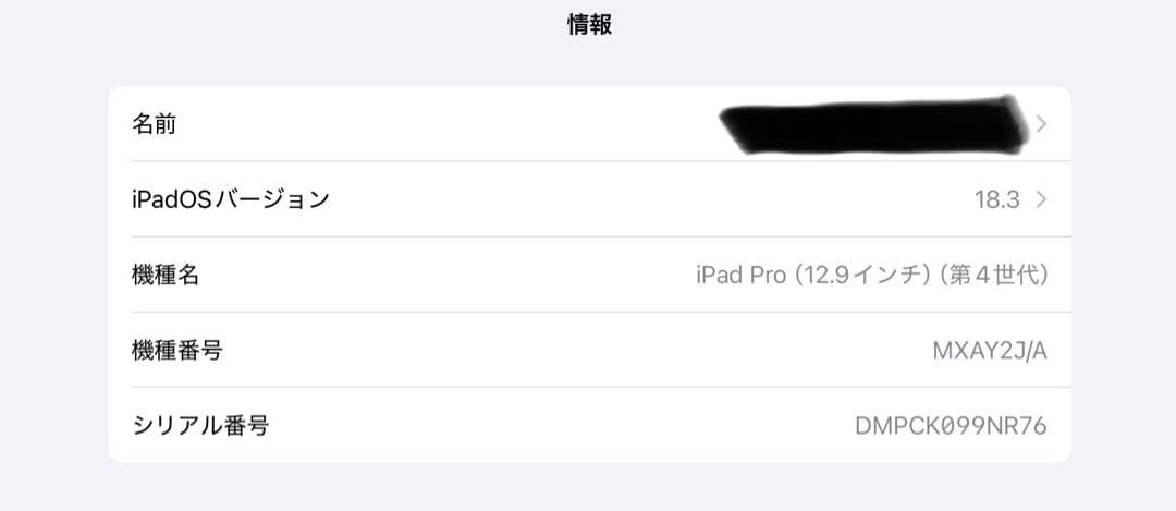 iPad Pro 第4世代 12.9インチ 1TB