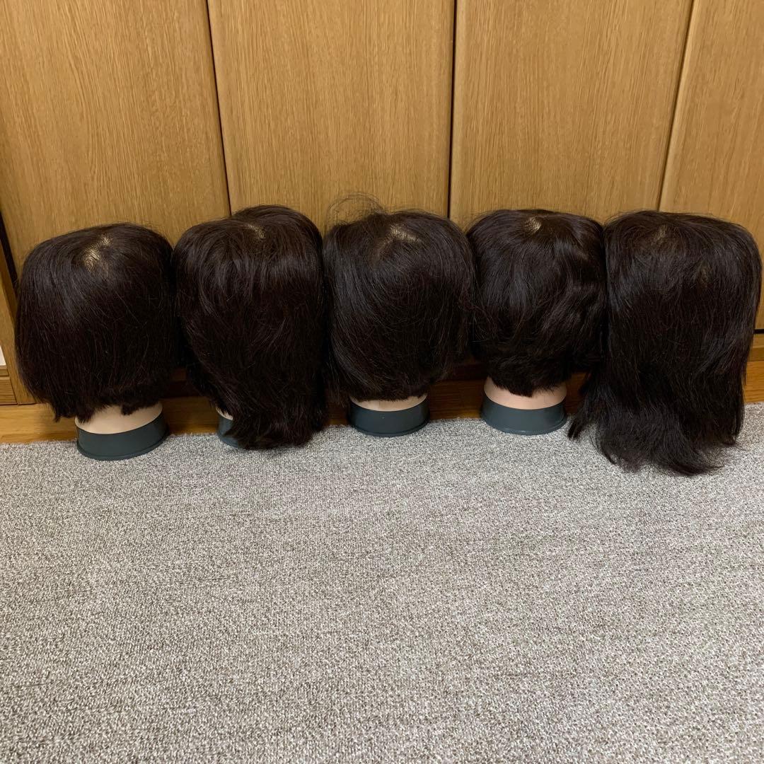 カットウィッグ　練習用　まとめ売り　12体