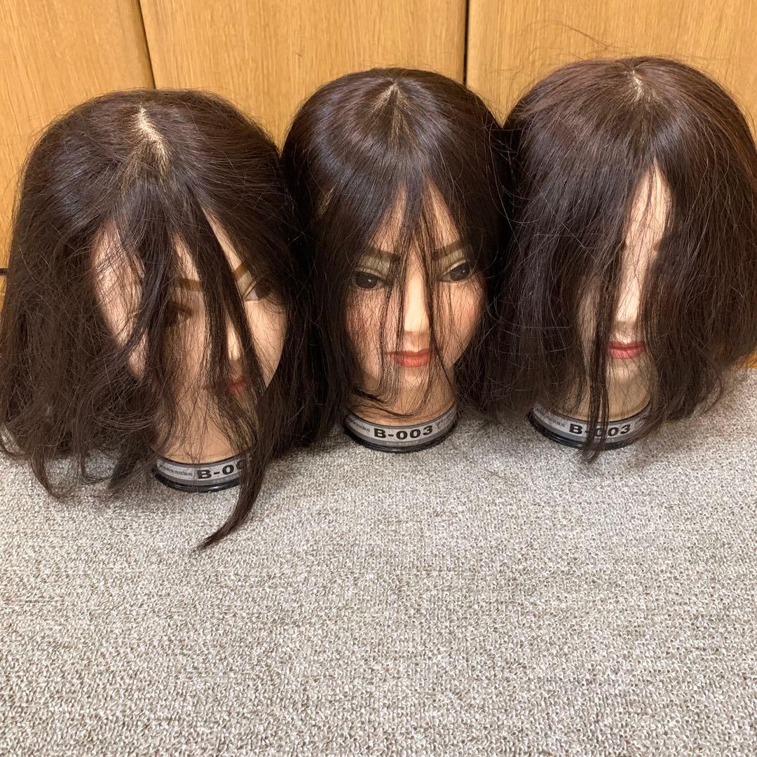 カットウィッグ　練習用　まとめ売り　12体