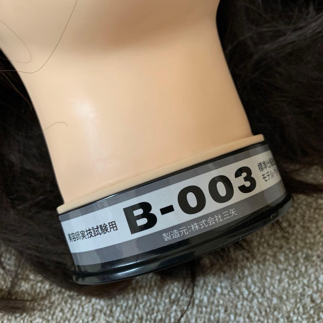 カットウィッグ　練習用　まとめ売り　12体