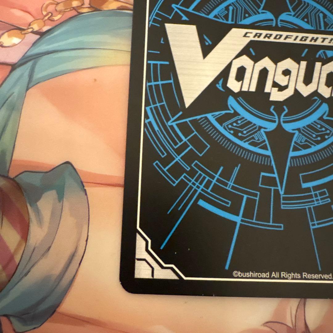 スノウスキップパルヴィ LSR ①