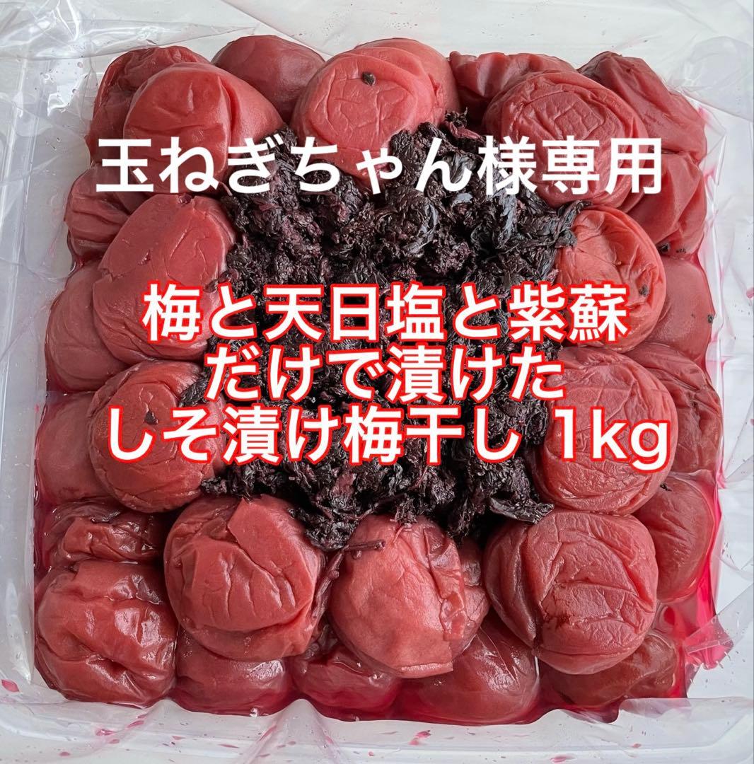 4kg 紀州南高梅 訳あり 梅と天日塩と紫蘇だけで漬けた しそ漬け梅干し 1kg