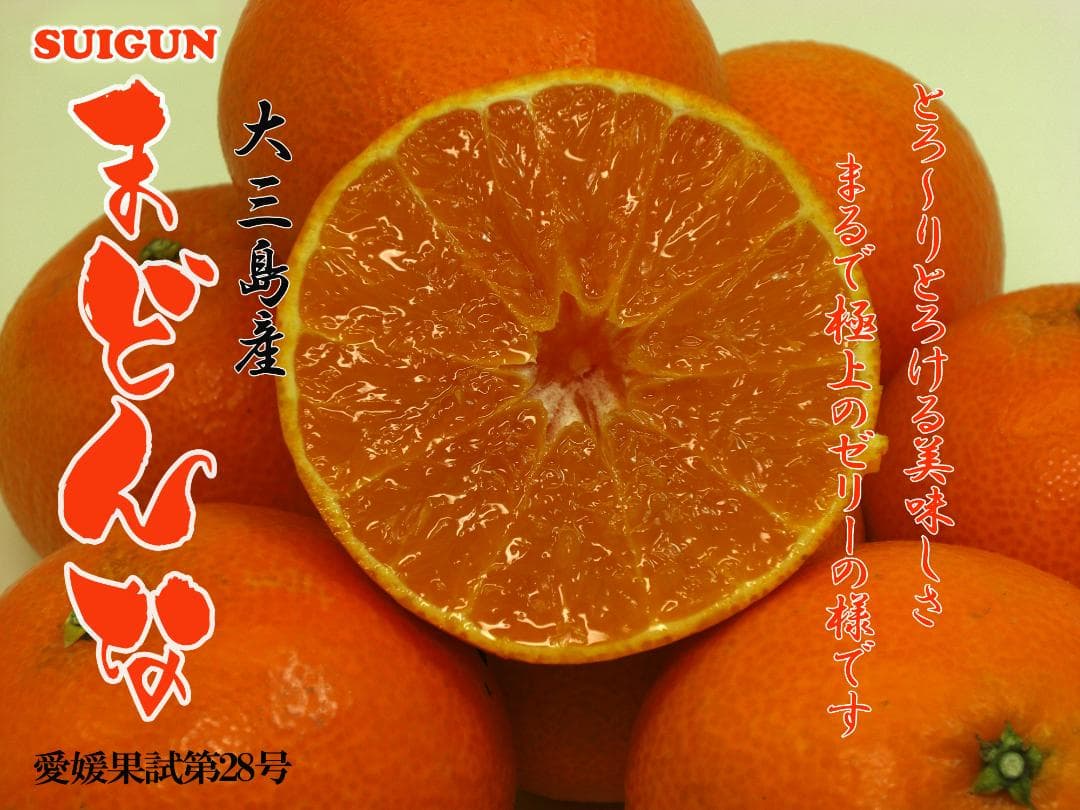 【あんこ】SUIGUNマドンナL玉10Kg×1箱+3Kg×1箱　２か所送り